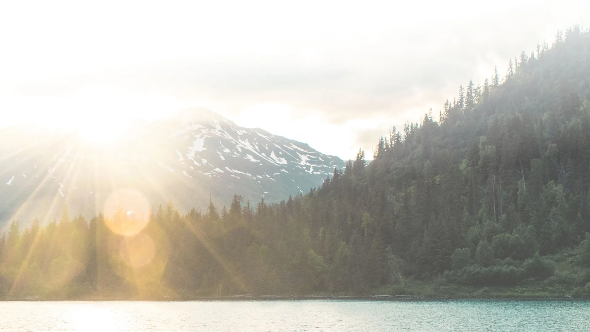 sunrise over a mountain and trees